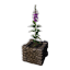 Decorative Planter (Asura's Glory)