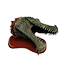 Crocodile Head