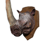 Rhino King Head Trophy