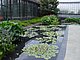 Longwood Gardens Pennsylvania 86.jpg