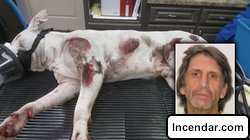 Florida deputies search for man accused of dragging dog behind truck