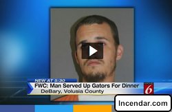 Florida man accused of killing gators for Super Bowl dinner